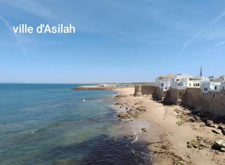 Riad Of Serenity Briech أصيلة المظهر الخارجي الصورة